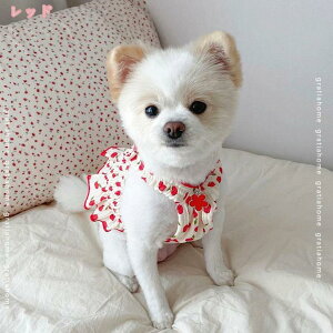 777~OFFN[| `̕  s[X t XJ[g hX  R[M[ _bNXth ` ybg hbOEFA ʋC Pl p m ^ ^ RX`[ 