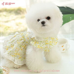 300~OFFN[|  s[X hbOEFA ̎q ̕ ybg Pl 킢 XJ[g m ĕ hX RX`[ t   ʋC  ^ ^  L