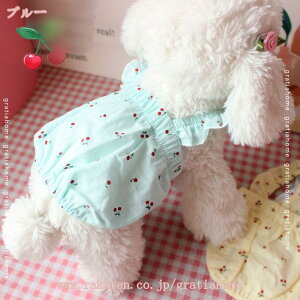   L ^ ^p s[X  ybg hbOEFA U o t ʋC _炩 XJ[g hX EȒP    ̎q `̕ ̕ Pl m Ă