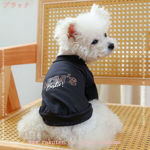 300~OFFN[|  TVc ėp  ̕  t tVc pW} j̎q xXg hbOEFA ^ L ybg tďH o U ybgpi L̕ėp ^  y