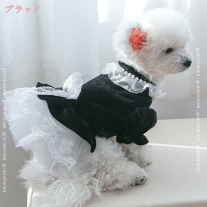    킢  t  t  ₷ ̕ s[X ؍ 킢 ybg ^ ^ efB gCv[h ` tČs[X ybgm