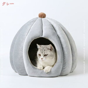 ybgxbh LnEX h[ L  xbh ybgnEX  nEX  L ^ Sނ̔L 킢  ~ 2WAY h[^ 􂦂 ~ v [x  H~p L