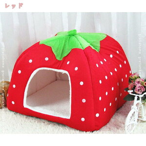 300~OFFN[|  xbh L xbh NbV nEX h[ ybgxbg pxbh hbOnEX   􂦂 ӂӂ ^  L   ^xbh p 