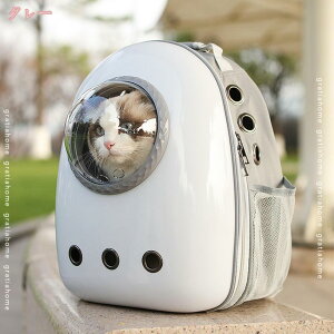 300~OFFN[|  ybgL[obO LL[ Lp FDJvZ^ bNTbN ^  sybgobO  o O΍^ ʋC e ϋv 