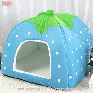 777~OFFN[| ybgxbh h[  L xbh h[^ ybgnEX 2way ܂肽݉ Lp ~p p tt 􂦂 NbVt pxbh  t LnEX 