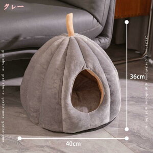 300~OFFN[|  L nEX xbh h[nEX ^ Lp ybgxbh ~p ܂肽 ybg }bg 􂦂 L   H~p ʔN 􂦂 ӂӂ g  