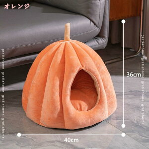 500~OFFN[|  L nEX xbh h[nEX ^ Lp ybgxbh ~p ܂肽 ybg }bg 􂦂 L   H~p ʔN 􂦂 ӂӂ g  