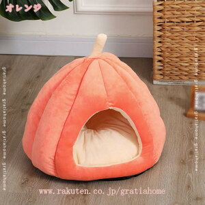 777~OFFN[| L xbh h[ LbgnEX Lp 傫 ӂӂ NbVt  ɂ nEX  L ybg h[ ~ ʔN g 􂦂   ybgxbh