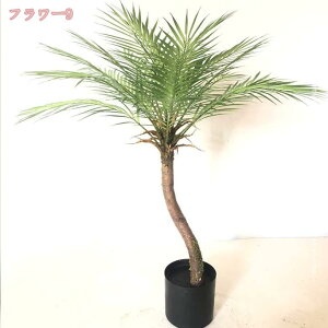 1000~OFFN[| lHϗtA Mт̃V̗t MѐA ItBX z[  tFCNO[ ܂ CeAlHA ͂Ȃ O[ fR[V p[eB[  