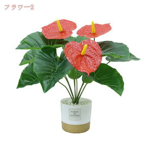 500~OFFN[| Xe tFCNO[ lHϗtA tFCNO[ lH A  lHA b炸 sv j JXj JƏj {ɂ ϗt X