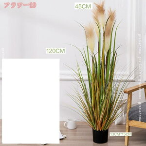 777�~OFF�N�[�|�� �l�H �A�V �t�F�C�N�O���[�� ���� �l�H�ϗt�A�� ��㔫�A�� �C���e���A ���� �I�t�B�X ���� �v���X�`�b�N�� �l�H�����X�e�� �l�H�ϗt�A�� ���� ���� �ϗt�A�� �V�~�����[�V