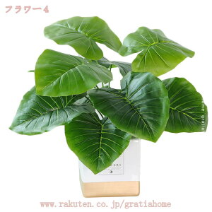 500~OFFN[| lHϗtA tFCNO[   lHXe̖ V~[V AA tFCNc[ ~  O rO [ ze Q  tFCNA