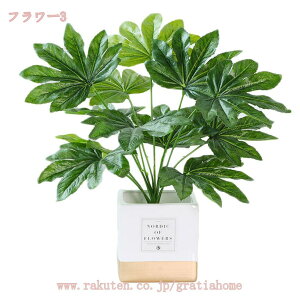 lHϗtA tFCNO[   lHXe̖ V~[V AA tFCNc[ ~  O rO [ ze Q  tFCNA lH 