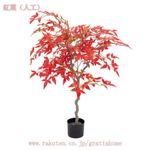 777~OFFN[| gt ݂ tFCNO[ lHϗtA lHϗtA  ItBX tFCNO[ lHϗtA lH    O Q oRj[ y ^A