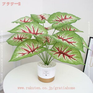 300~OFFN[| lHϗtA tFCNO[ Vv ItBX  CeA ^   lH j ̓ AJV  lHϗt ϗtA Ύ AJV ȒPb