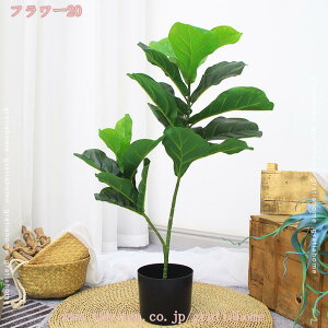 300~OFFN[| lHϗtA tFCNO[ Vv ItBX  CeA ^   lH j ̓ AJV  lHϗt ϗtA Ύ AJV ȒPb