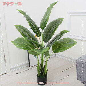 tFCNO[ lHϗtA  sv ͂Ȃ QȂ CeA O[ rO ItBX X  a lHϗtA tFCNO[ Mт̃V̖ 