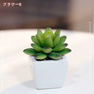 300~OFFN[| lHA tFCNO[  CeA A   ItBX fXN rO   AȊO N₩ȐF {̃^b` A v[g 