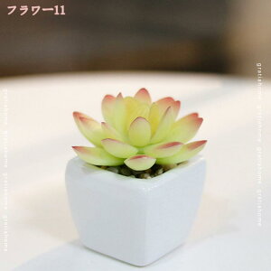 300~OFFN[| lHA tFCNO[  CeA A   ItBX fXN rO   AȊO N₩ȐF {̃^b` A v[g 