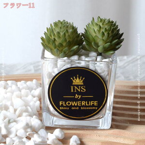 300~OFFN[| lHϗtA tFCNO[ lHA y CeA  ϗtA  G A tFCNO[  rO Lb` ItBX gC oX[ 