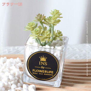 300~OFFN[| lHϗtA tFCNO[ lHA y CeA  ϗtA  G A tFCNO[  rO Lb` ItBX gC oX[ 