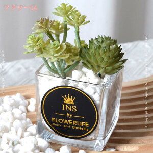 300~OFFN[| lHϗtA tFCNO[ lHA y CeA  ϗtA  G A tFCNO[  rO Lb` ItBX gC oX[ 