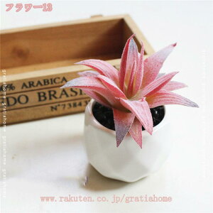 300~OFFN[| tFCNO[ lHϗtA ~j lHA CeA AA ͂Ȃ Aؔ ϗtA  z[  fR[V vX`bN lHA s