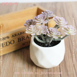 300~OFFN[| tFCNO[ lHϗtA ~j lHA CeA AA ͂Ȃ Aؔ ϗtA  z[  fR[V vX`bN lHA s