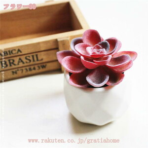 300~OFFN[| tFCNO[ lHϗtA ~j lHA CeA AA ͂Ȃ Aؔ ϗtA  z[  fR[V vX`bN lHA s