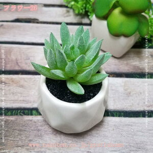 300~OFFN[| tFCNO[ lHϗtA ~j lHA CeA AA ͂Ȃ Aؔ ϗtA  z[  fR[V vX`bN lHA s