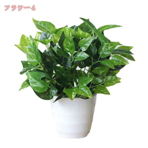 300~OFFN[| lHϗtA  tFCNO[ ~j AA   z[   fR[V    ϗtA sv lHA 킢 lHϗtA