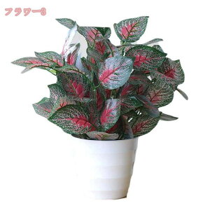 300~OFFN[| lHϗtA  tFCNO[ ~j AA   z[   fR[V    ϗtA sv lHA 킢 lHϗtA