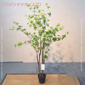 ^ tFCNO[ lHϗt ^ Vv ItBX  CeA   AJV ȒP {ɂ  X  a m ItBX ܂ Q