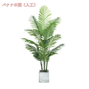 1000~OFFN[| ^ tFCNO[ lHϗtA k i` 킢 C~e[VO[ ACr[ G A[g   CeA a m ItBX ܂ i`