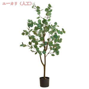 1000~OFFN[| tFCNO[ lHϗA lHϗt ϗtA tFCNϗtA ^ lHϗtA ϗtAp ԊϗtA ϗtAtFCN  Vv ItBX  C