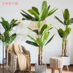 1000~OFFN[| lHϗtA tFCNO[ ^ lHV̖ lH y̖   O ^ gsJ tFCNoii̗t A rO Q  O z[ ItB