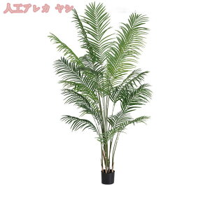 1000~OFFN[| tFCNO[ lHϗA ^ A lHϗt ϗtA  Vv ItBX  rO  CeA  j ̓ j a 蕨 