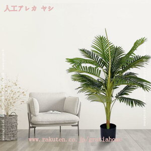 500~OFFN[| AJV lHϗtA tFCNO[ ^ Ԏd؂ ډB   O ^ gsJ tFCNO[ lHA rO Q  O z[ ItBX