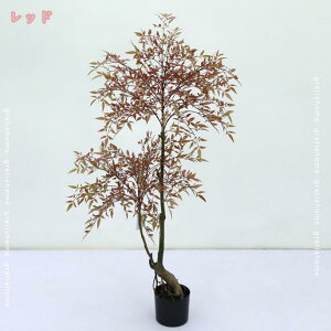 lH| lHϗtA | tFCNO[ ^ lHϗtA vX`bN 邭u₩ X[ rO  p A CeAO[ lHϗtA JXj j tF