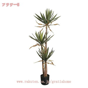 1000~OFFN[| lHϗtA tFCNO[ ^ lHϗtA vX`bN 邭u₩ X[ rO  p A CeAO[ lHϗtA JXj j