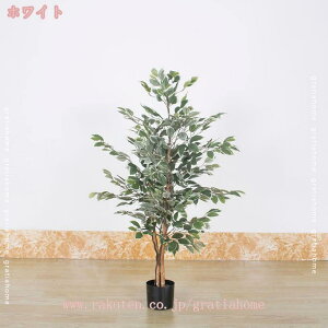 300~OFFN[| lHϗtA K[fjOtFX V~[V N₩ȐF Op ډB Ԏd؂ tFX p[eBV d؂ yɎd؂ z[ ItBX x