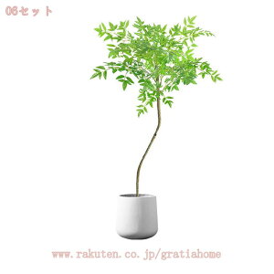 1000~OFFN[| lHϗtA tFCNO[ ^ ϗtA y tFCNO[ CeA  j a m ItBX ܂ Q X JXj lHϗtA Ce