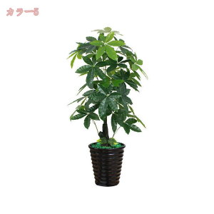 1000~OFFN[| lHϗtA Ύ tFCNO[ ^ Ηt A ډB lH CeA  ͂Ȃ 傫 A q Q  O rO ItBX x_ 