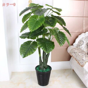 1000~OFFN[| lHϗtA Ύ tFCNO[ ^ Ηt A ډB lH CeA  ͂Ȃ 傫 A q Q  O rO ItBX x_ 