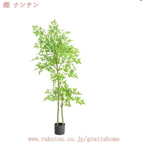 1000~OFFN[| ϗtA tFCNO[ ^  CeA lHϗtA 킢 A Lb` rO _CjO Q p lHϗtA CeA sv l