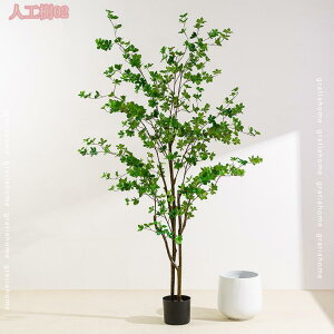 1000~OFFN[| lHϗtA CeA tFCNO[ ^  킢 sv Lb` rO _CjO Q A A CeA j JX JƏj y