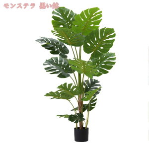 tFCNO[ ϗA lHϗt ϗtAtFCN ^ lHϗtA tFCNO[ ^ p  Vv ItBX  CeA ^ t  ϗtA Vzj