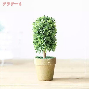 480~OFFN[| T{e tFCNO[ ~j lHϗtA  񂹐A ϗtA rO _CjO  Lb` gC CeA G i`  A Mtg 