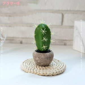 500~OFFN[| tFCNO[ lHA lHϗtA tFCNO[ lHϗtA p  sv   ~j CeAO[ [J t@VFCv t