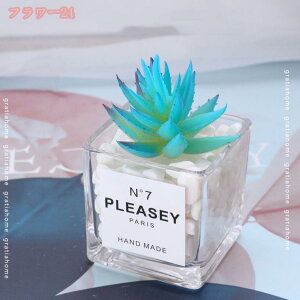 1000~OFFN[| tFCNO[ A lHϗtA 킢 CeA  z[   Lb` oRj[ lHA ~j A ͂Ȃ fR[V vX`b